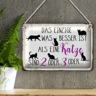 Blechschild Spruch 30x20cm einzige was besser ist als Katze