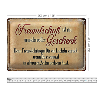 Blechschild Spruch 30x20cm Freundschaft ist ein