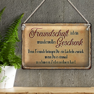 Blechschild Spruch 30x20cm Freundschaft ist ein