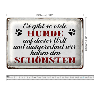 Blechschild Spruch 30x20cm es gibt so viele Hunde