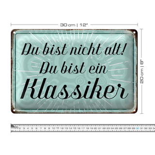 Blechschild Spruch 30x20cm du bist nicht alt du Klassiker
