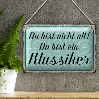 Blechschild Spruch 30x20cm du bist nicht alt du Klassiker