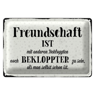Blechschild Spruch 30x20cm Freundschaft ist bekloppter sein