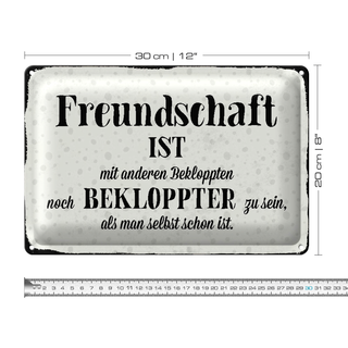 Blechschild Spruch 30x20cm Freundschaft ist bekloppter sein