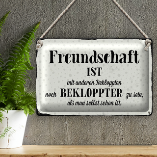 Blechschild Spruch 30x20cm Freundschaft ist bekloppter sein