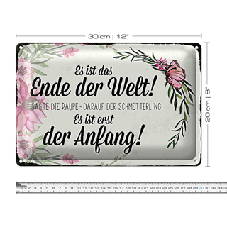 Blechschild Spruch 30x20cm es ist das Ende der Welt sagte