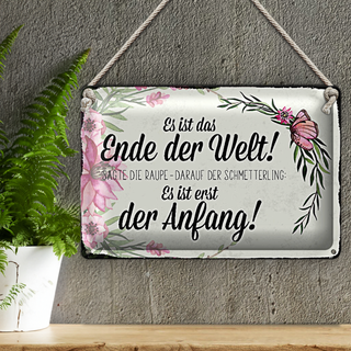 Blechschild Spruch 30x20cm es ist das Ende der Welt sagte