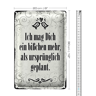Blechschild Spruch 20x30cm ich mag dich ein bißchen mehr