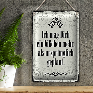 Blechschild Spruch 20x30cm ich mag dich ein bißchen mehr