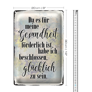 Blechschild Spruch 20x30cm Gesundheit glücklich sein
