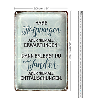 Blechschild Spruch 20x30cm habe Hoffnungen nie Erwartungen