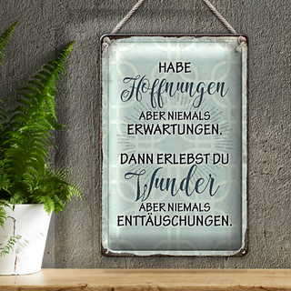 Blechschild Spruch 20x30cm habe Hoffnungen nie Erwartungen