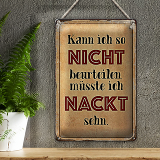 Blechschild Spruch 20x30cm kann so nicht muss nackt sehn