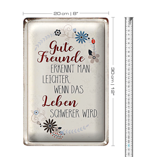 Blechschild Spruch 20x30cm gute Freunde erkennt