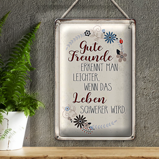 Blechschild Spruch 20x30cm gute Freunde erkennt
