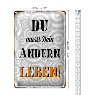 Blechschild Spruch 20x30cm du musst Dein Leben ändern