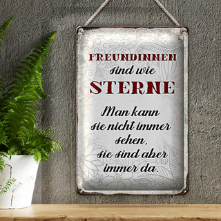 Blechschild Spruch 20x30cm Freundinnen sind wie Sterne