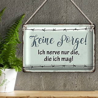 Blechschild 30x20cm keine Sorge ich nerve nur die ich mag