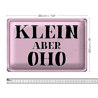 Blechschild Spruch 30x20cm klein aber Oho