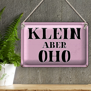 Blechschild Spruch 30x20cm klein aber Oho