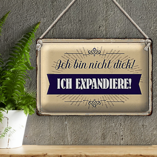 Blechschild Spruch 30x20cm bin nicht dick ich expandiere