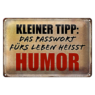 Blechschild Spruch 30x20cm kleiner Tipp das Passwort Humor