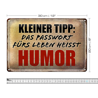Blechschild Spruch 30x20cm kleiner Tipp das Passwort Humor
