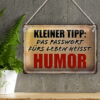 Blechschild Spruch 30x20cm kleiner Tipp das Passwort Humor