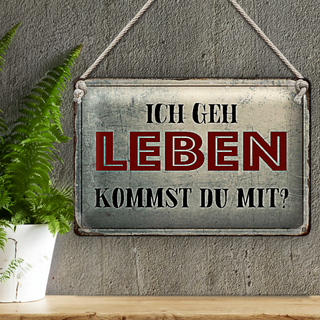 Blechschild Spruch 30x20cm geh leben kommst du mit Retro