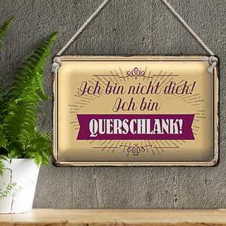 Blechschild Spruch 30x20cm bin nicht dick ich querschlank