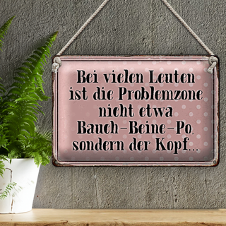 Blechschild Spruch 30x20cm Problemzone ist der Kopf Retro