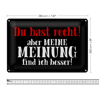 Blechschild Spruch 30x20cm du hast recht aber meine Meinung