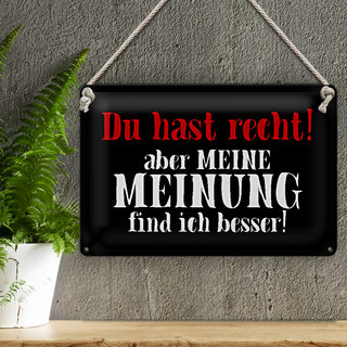 Blechschild Spruch 30x20cm du hast recht aber meine Meinung
