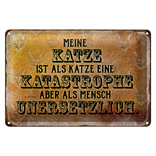 Blechschild Spruch 30x20cm meine Katze ist eine Katastrophe