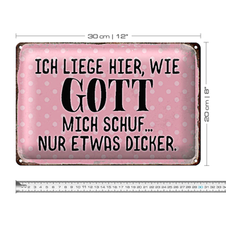 Blechschild Spruch 30x20cm liege hier wie Gott mich schuf