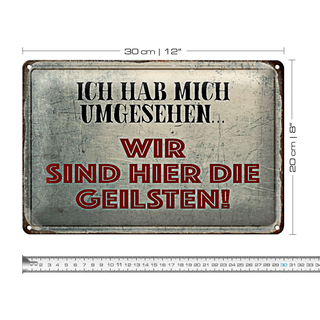 Blechschild Spruch 30x20cm wir sind die Geilsten