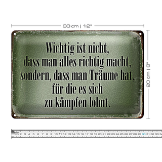 Blechschild Spruch 30x20cm wichtig Träume haben und kämpfen