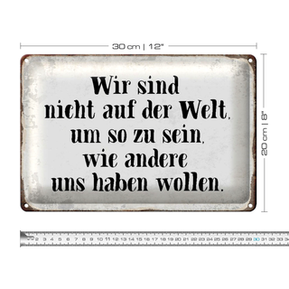 Blechschild Spruch 30x20cm sind nicht auf Welt wie andere