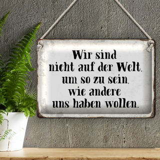 Blechschild Spruch 30x20cm sind nicht auf Welt wie andere