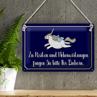 Blechschild Spruch 30x20cm zu Risiken fragen Sie Einhorn