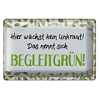 Blechschild Spruch 30x20cm wächst kein Unkraut Begleitgrün