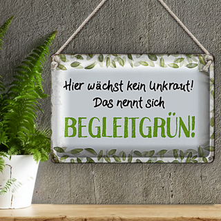 Blechschild Spruch 30x20cm wächst kein Unkraut Begleitgrün
