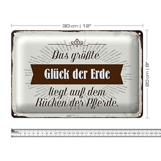 Blechschild Spruch 30x20cm Glück der Erde auf Rücken Pferde