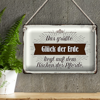 Blechschild Spruch 30x20cm Glück der Erde auf Rücken Pferde