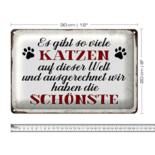 Blechschild Spruch 30x20cm wir haben die schönste Katze