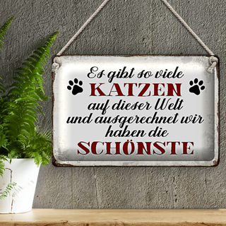 Blechschild Spruch 30x20cm wir haben die schönste Katze