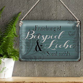 Blechschild Spruch 30x20cm Erziehung ist Beispiel und Liebe
