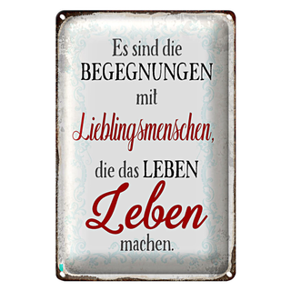 Blechschild Spruch 20x30cm Begegnungen Lieblingsmenschen