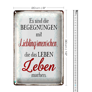 Blechschild Spruch 20x30cm Begegnungen Lieblingsmenschen