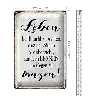 Blechschild Spruch 20x30cm Leben lernen im Regen zu tanzen